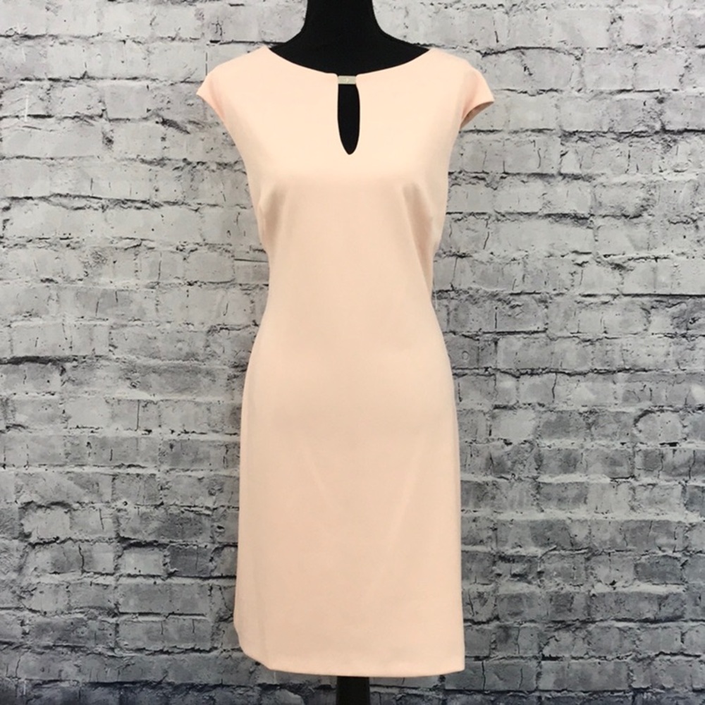 Ralph Lauren Pink Dress (670)